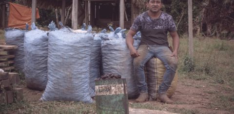 Edivaldo Kaxarari, professor primário em Barreirinha, compra e vende castanhas para complementar a renda. Cada lata custa R$ 5. Foto Flávia Milhorance. Março/2021