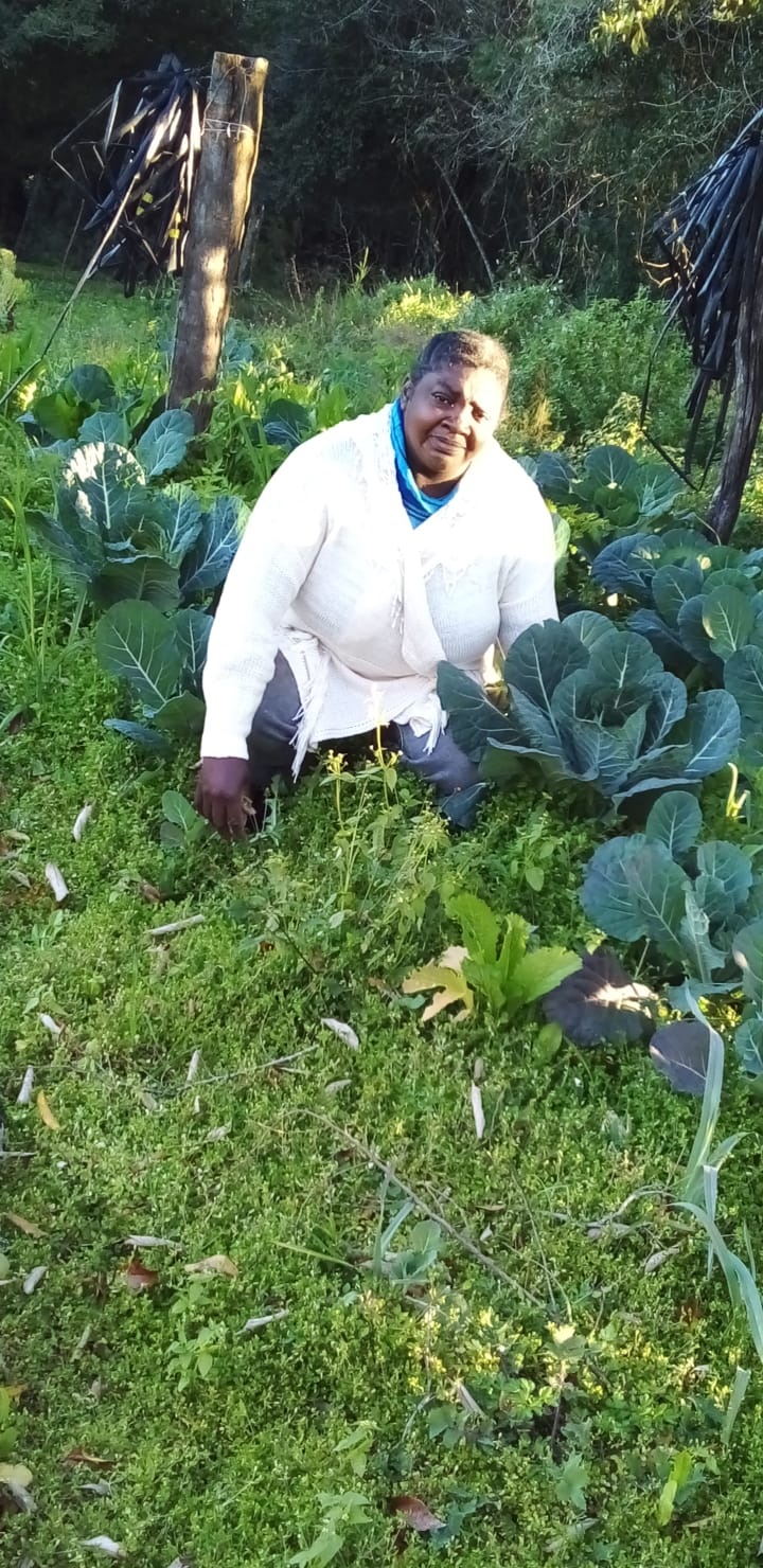 Joelita Bittencourt cultiva milho, feijão, batata-doce, amendoim, melão e melancia em uma área de um hectare. Foto WhatsApp