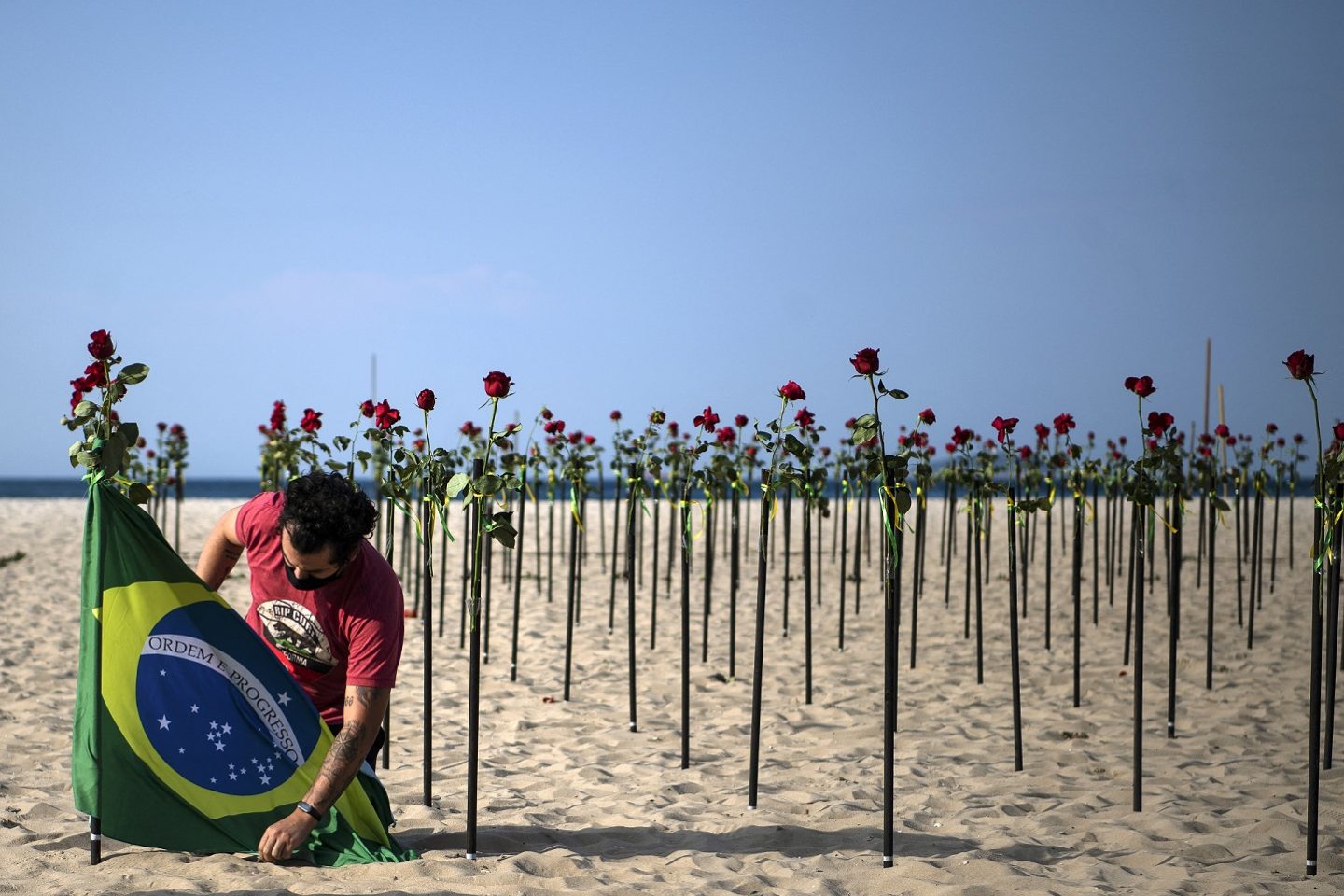 Manifestante segura bandeira brasileira ao lado de rosas colocadas pela ONG Rio de Paz na praia de Copacabana, no Rio de Janeiro, em memória ao Brasil de meio milhão de vítimas da covid-19. Foto Carl de Souza/AFP. Junho/2021