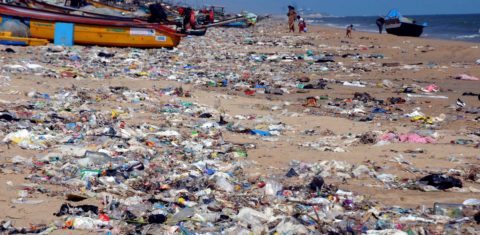 Lixo plástico cobre a areia da praia de Chennai, na Índia: pesquisa descobre micróbios que estão evoluindo para comer e degradar plásticos (Foto: Ramesh Shankar R / The Times of India / AFP - 23/11/2021)