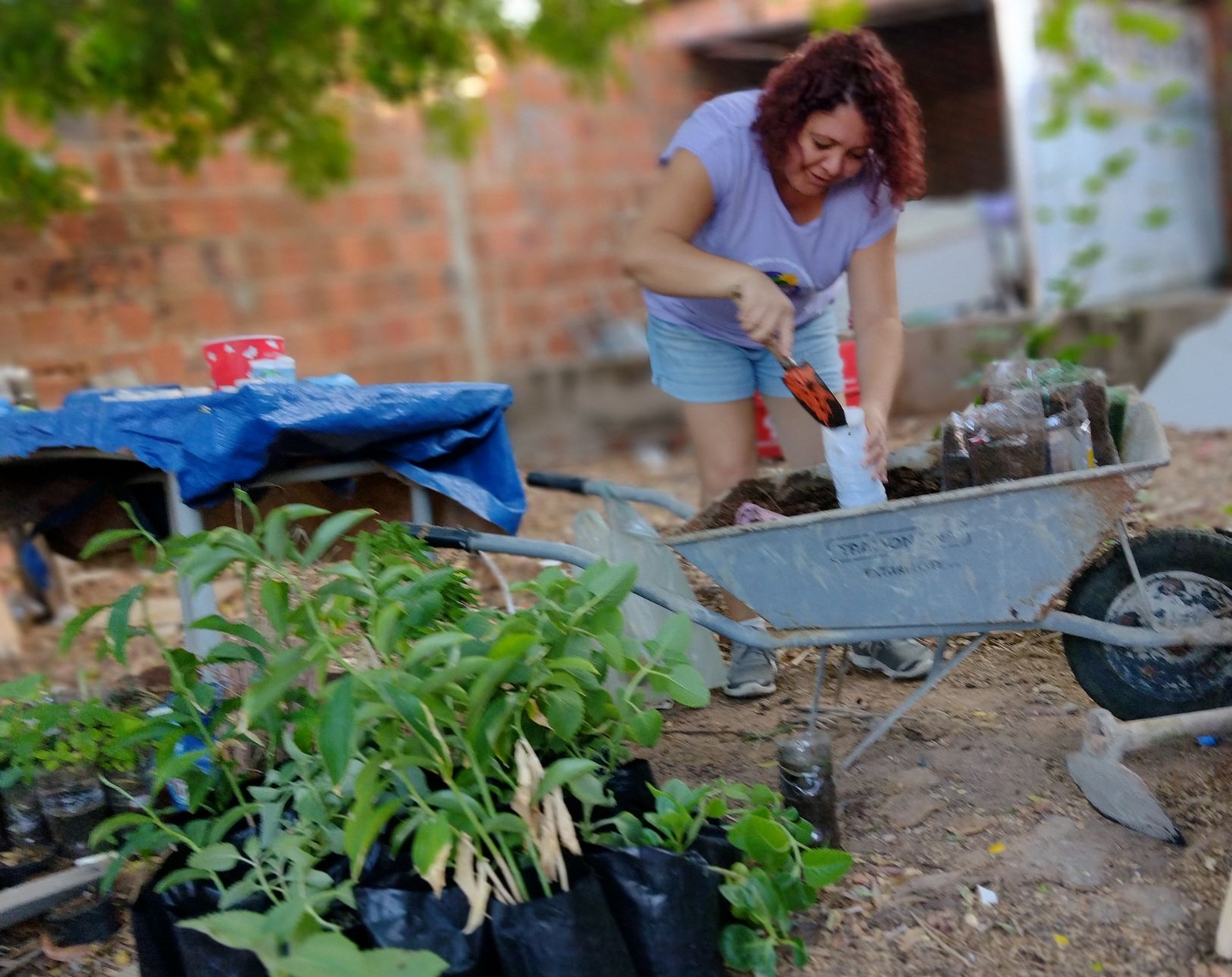 Michela Calaça, diretora do MMC, prepara mudas de plantas nativas da caatinga: mulheres do campo lutam por autonomia (Foto: Arquivo Pessoal)
