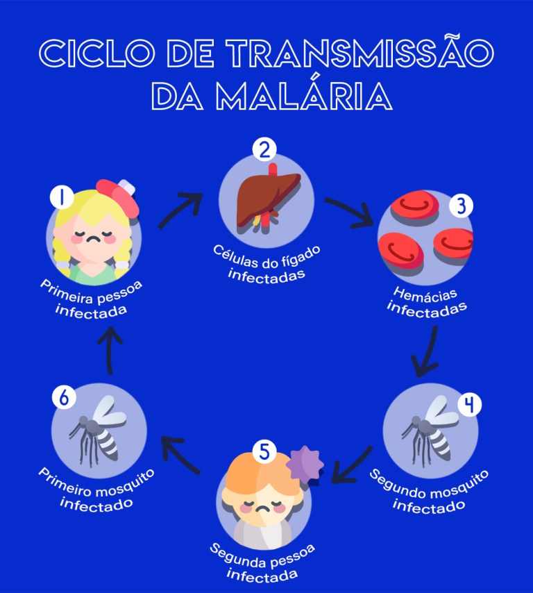 Ciclo de transmissão da malária (Arte: Rebeca Alencar,com imagens de Flaticon)