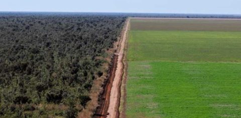 Área agrícola perto de floresta no Tocantins: estudo aponta que desmatamento e crise climática ameaçam Matopiba (Foto: Agência Brasil)