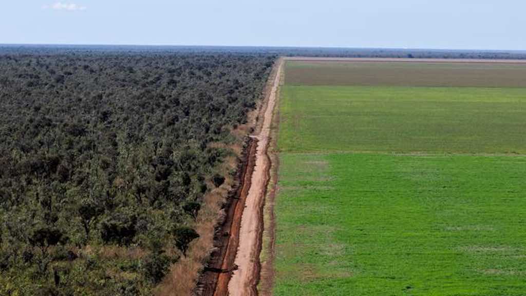 Área agrícola perto de floresta no Tocantins: estudo aponta que desmatamento e crise climática ameaçam Matopiba (Foto: Agência Brasil)