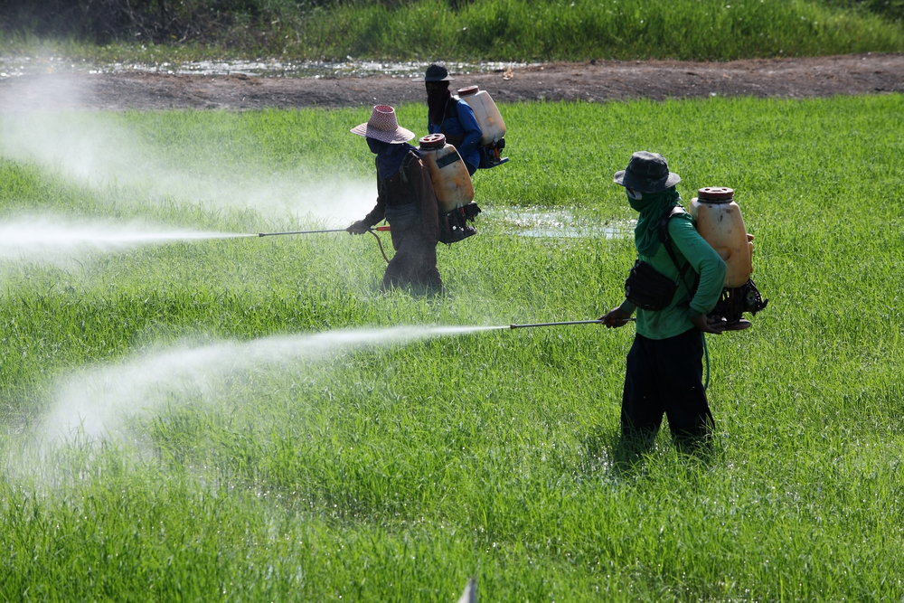 Aplicação de agrotóxicos em lavoura no sul do Brasil: Câmara aprova PL do Veneno, que facilita aprovação de pesticidas (Foto: Agência Brasil)