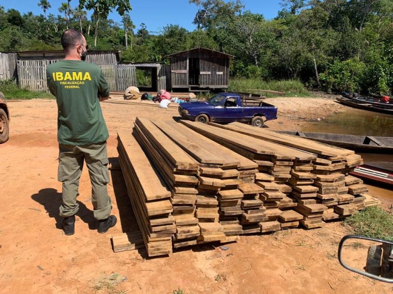 Relatório aponta que, por falta de vontade política, governo não gastou recursos disponíveis para combate a crimes ambientais