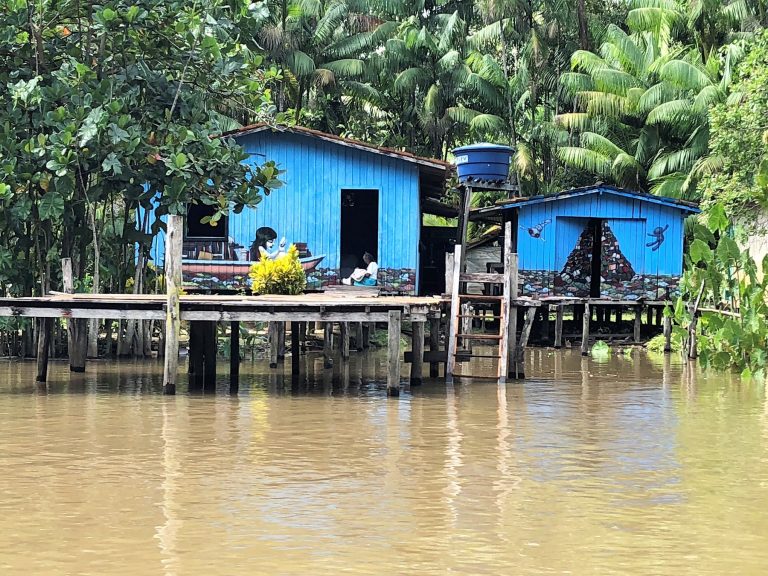 Street River Amazônia: fachada de casa ribeirinha na Ilha do Combu, no Pará