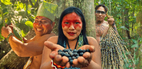 yawanawa_indígenas