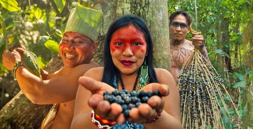 Pulseira Indigena Yawanawa Acre