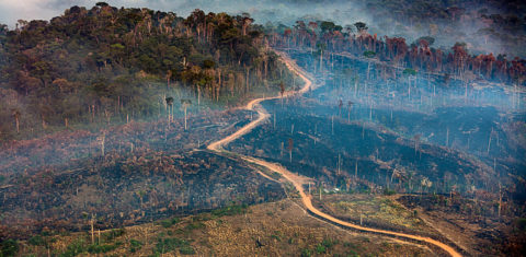 Focos de incêndio e desmatamento no município de Trairão, no Pará: relatório do IPCC alerta para impactos climáticos na Amazônia (Foto Marizilda Cruppe / Amazônia Real / Amazon Watch - 17/09/2020)