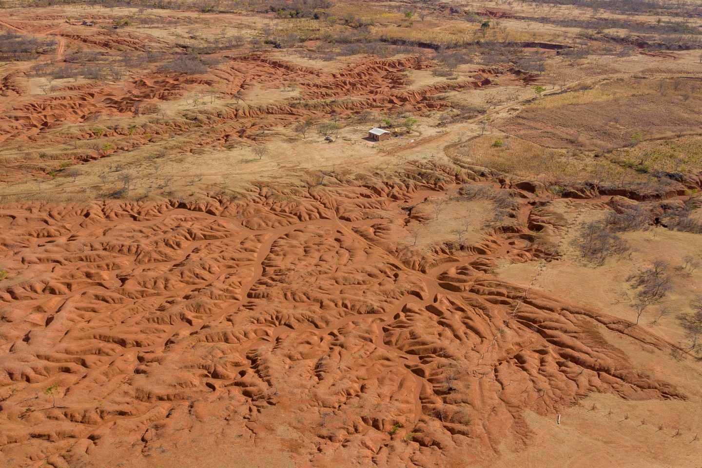 Retrato da desertificação no Cerrado brasileiro: nova regra discutida pela União Europeia deixaria maior parte do bioma desprotegido e exposto a mais desmatamento (Foto: Marcio Pimenta - 08/06/2000)