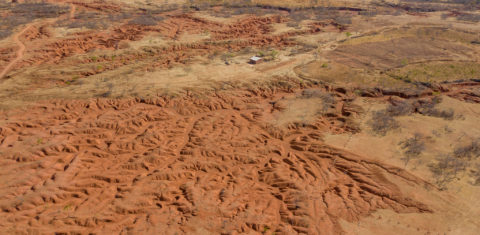 Retrato da desertificação no Cerrado brasileiro: nova regra discutida pela União Europeia deixaria maior parte do bioma desprotegido e exposto a mais desmatamento (Foto: Marcio Pimenta - 08/06/2000)