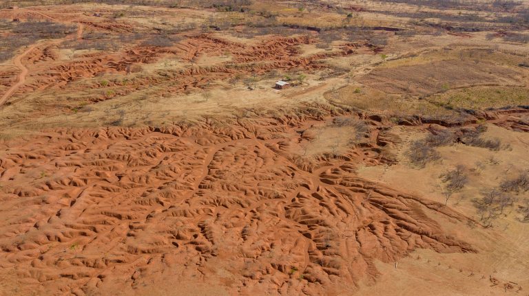 Retrato da desertificação no Cerrado brasileiro: nova regra discutida pela União Europeia deixaria maior parte do bioma desprotegido e exposto a mais desmatamento (Foto: Marcio Pimenta - 08/06/2000)
