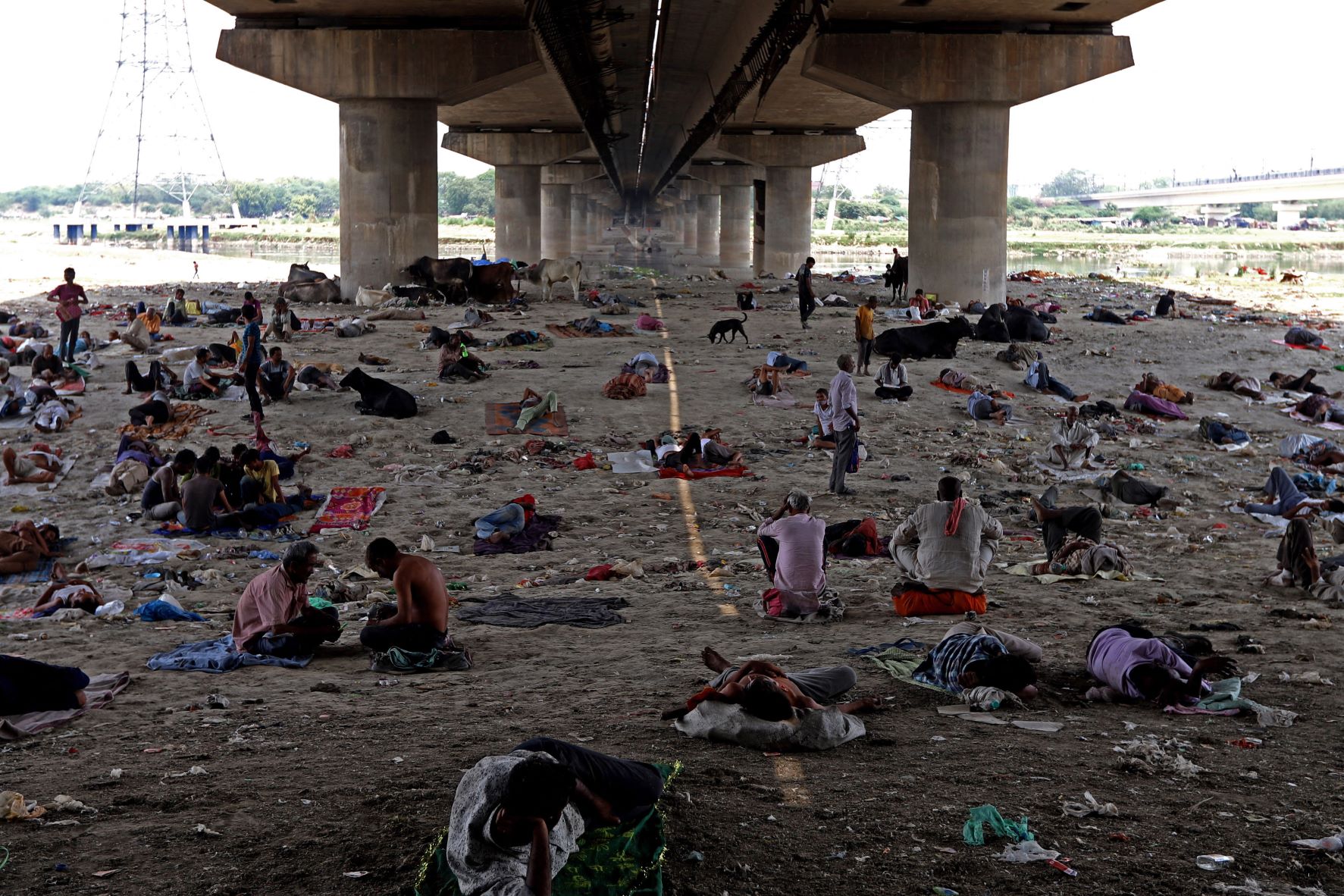 Pessoas e animais aproveitam sombra de ponte sobre rio seco em Nova Delhi, Índia: temperaturas recordes destroem lavouras e provocam apagões na Ásia (Foto: Amarjeet Kumar Singh / Anadolu Agency / AFP - 10/05/2022)