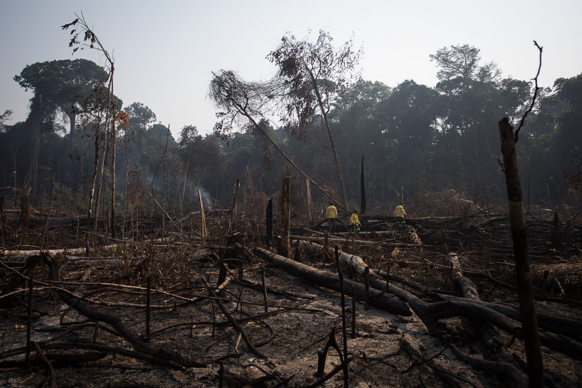 Área de floresta derrubada e queimada no município de Apuí, Amazonas: só 0,4 dos cadastros de imóveis rurais foram validados em 10 anos de Código Florestal (Foto: Bruno Kelly/Amazonia Real)