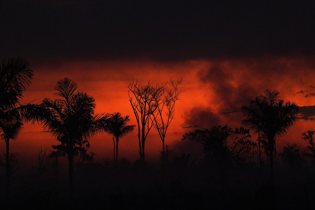 Ao norte da cidade de Sinop, no estado de Mato Grosso, um incêndio destrói um reserva florestal da Amazônia. Nos quatro primeiros meses deste ano foram registrados mais de mil quilômetros quadrados de alertas de desmatamento na Amazônia. Foto Carl de Souza/AFP. (Janeiro/2020)