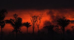 Cinco décadas de meio ambiente em uma história de insustentabilidade