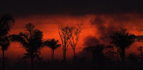 Ao norte da cidade de Sinop, no estado de Mato Grosso, um incêndio destrói um reserva florestal da Amazônia. Nos quatro primeiros meses deste ano foram registrados mais de mil quilômetros quadrados de alertas de desmatamento na Amazônia. Foto Carl de Souza/AFP. (Janeiro/2020)
