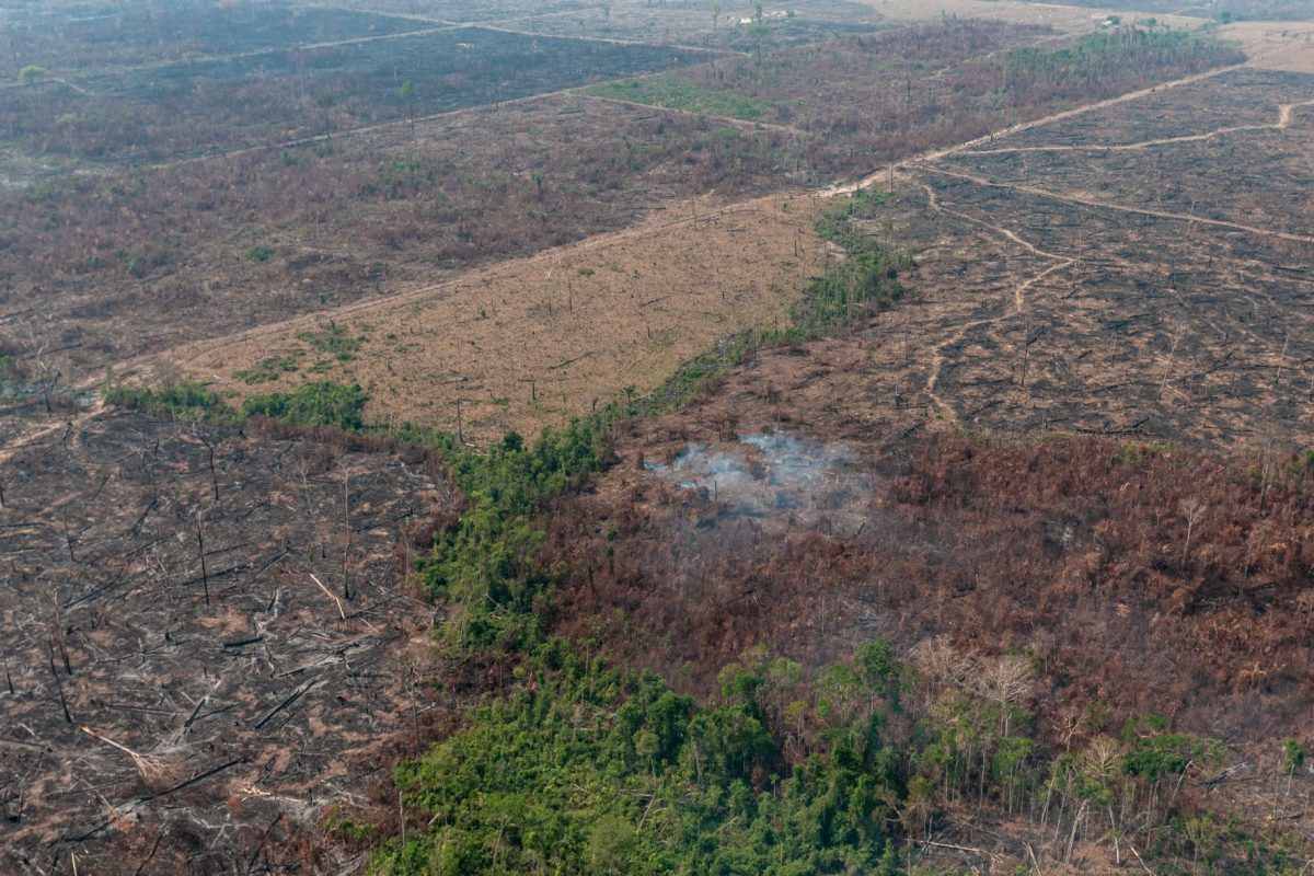 Área da Floresta Amazônica desmatada em Rondônia: Empresas, organizações da sociedade civil e de povos indígenas assinam carta por aprovação de fundo dos EUA para preservação e restauração (Foto: Vinicius Mendonça/Ibama - 28/08/2019)