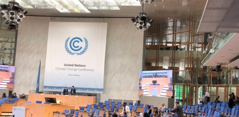Conferência preparatória para a COP27: divergências entre países leva ao fracasso reunião para definição de agendas para cúpula climática no Egito (Foto: OC)