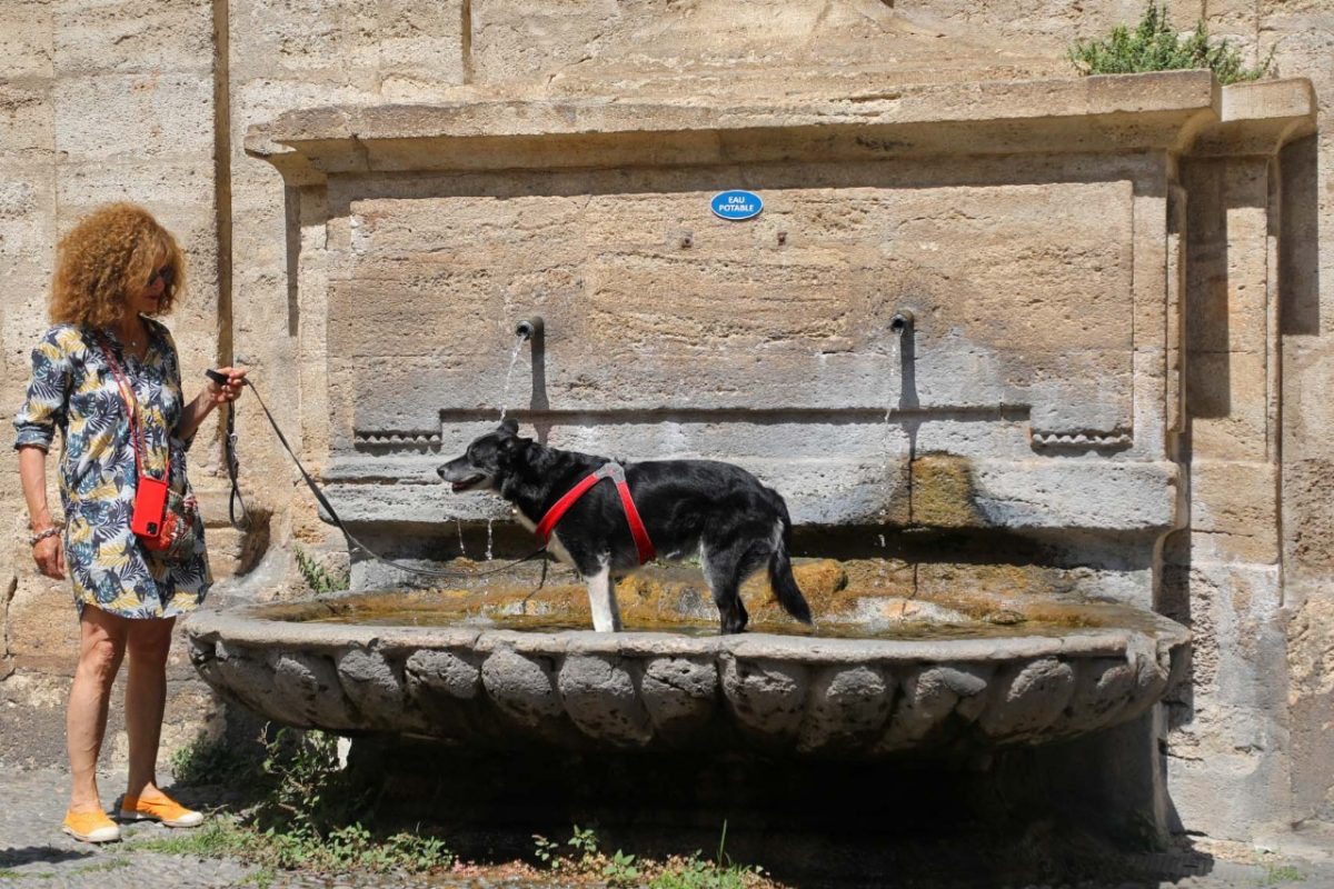 Francesa leva cachorro para aproveitar água da fonte em dia de calor de 40 graus no sul do país: na França, mais de 200 cidades registraram, neste junho de 2022, recordes de calor para o mês (Foto: Marcelo Carnaval)