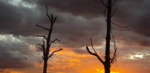 Estudos revelam que a Caatinga já perdeu 40% de superfície de água natural nos últimos 35 anos. Fotos Alen Peixinho e Liliana Peixinho
