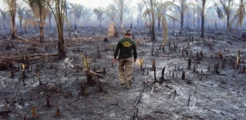 Floresta queimada em Santana do Araguaia, Pará, última colocada no ranking das cidades sustentáveis: dos 10 municípios com piores notas, nove estão na Amazônia (Foto: Ibama)