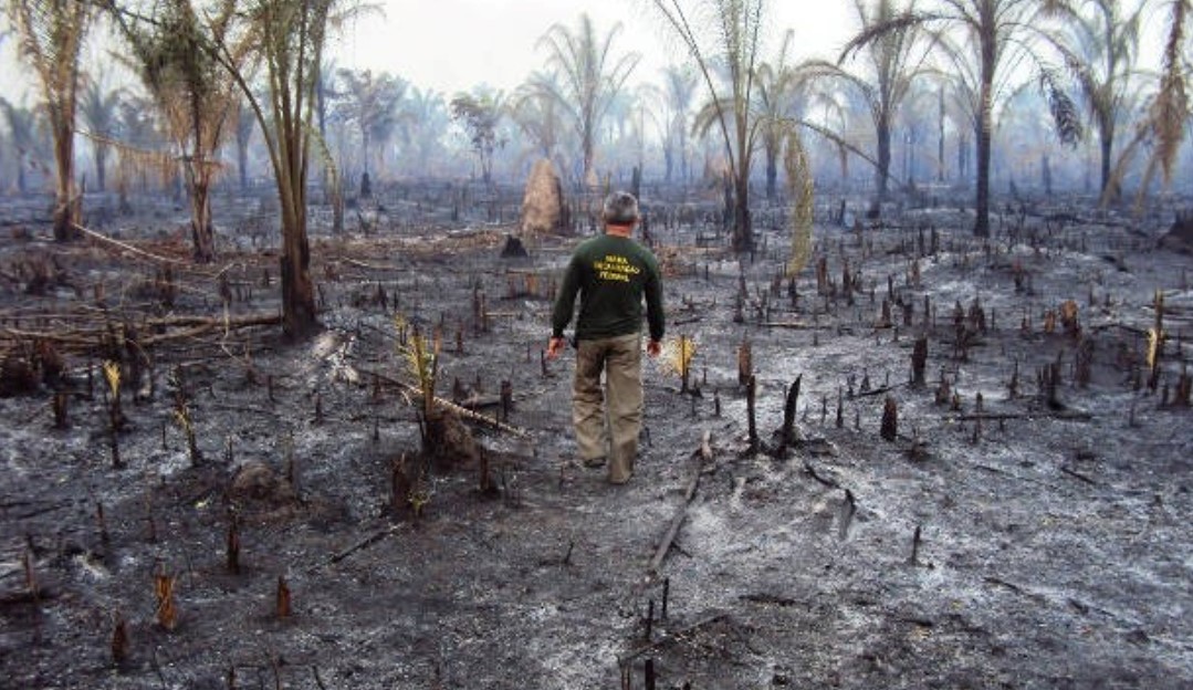Floresta queimada em Santana do Araguaia, Pará, última colocada no ranking das cidades sustentáveis: dos 10 municípios com piores notas, nove estão na Amazônia (Foto: Ibama)