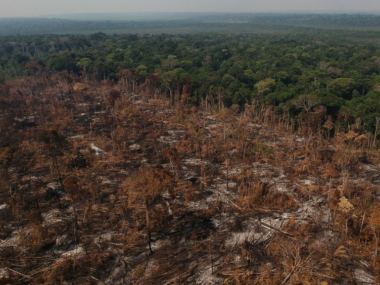 Área desmatada e queimada no município de Apuí, Amazonas: desmatamento aumentou 20% (Foto: Bruno Kelly / Amazônia Real - 09/08/2020)
