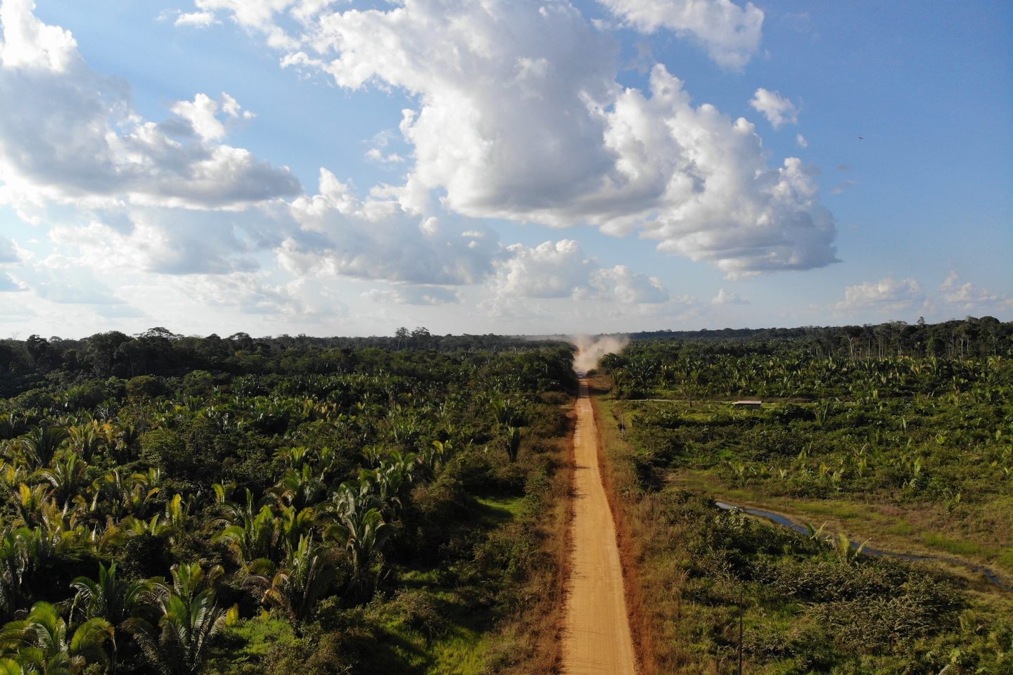 recho da BR-319, no Amazonas, previsto para ser reconstruído e asfaltado: licença prévia desrespeitou recomendações do próprio Ibama (Foto: Idesam - 02/07/2018)