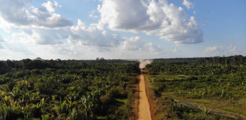 recho da BR-319, no Amazonas, previsto para ser reconstruído e asfaltado: licença prévia desrespeitou recomendações do próprio Ibama (Foto: Idesam - 02/07/2018)