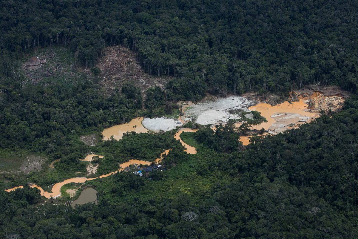 Garimpo na região do Homoxi na Terra Indigena Yanomami: projeto de lei cria mecanismos para barrar ouro ilegal (Foto: Bruno Kelly/Amazônia Real - 30/04/2021)