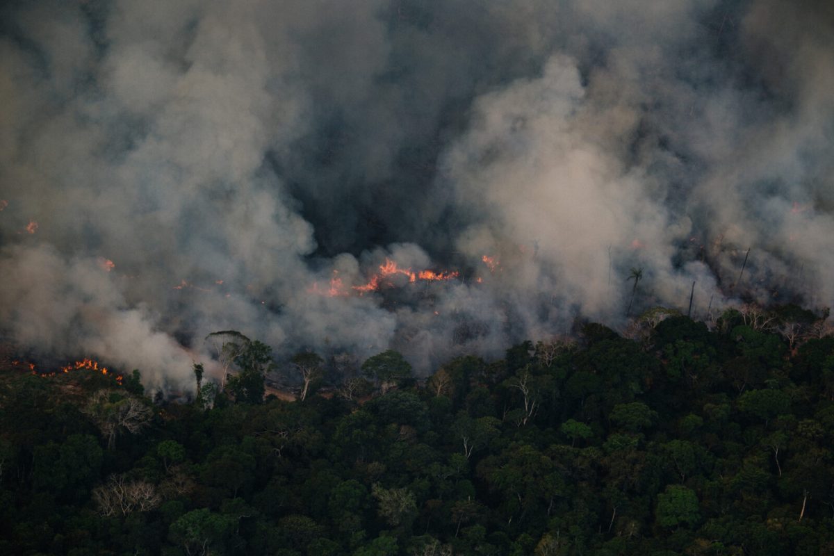 Floresta em chamas no município de Apuí no Sul do Amazonas: região consolida-se como nova fronteira de queimadas e desmatamento (Foto: Christian Braga/Greenpeace - 28/07/2022)