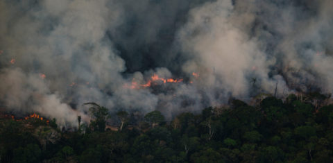Floresta em chamas no município de Apuí no Sul do Amazonas: região consolida-se como nova fronteira de queimadas e desmatamento (Foto: Christian Braga/Greenpeace - 28/07/2022)