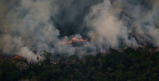 Sul do as: nova fronteira de queimadas e desmatamento