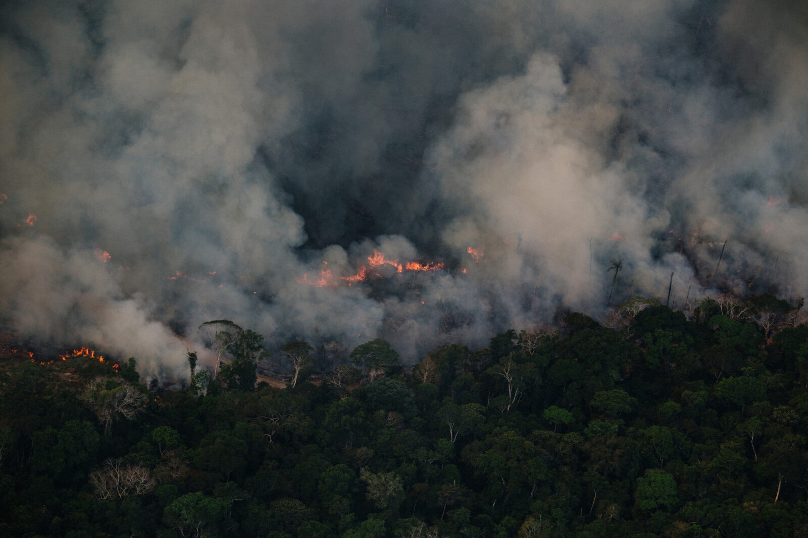 Vetores de Chamas De Fogo Equipamento De Combate A Incêndio