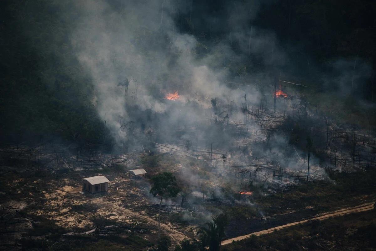 Queimadas entre Porto Velho e o sul do Amazonas, registradas em sobrevoo pelo Greenpeace: região crítica detectada pelo Inpe (Foto: Christian Braga / Greenpeace - 28/07/2022)