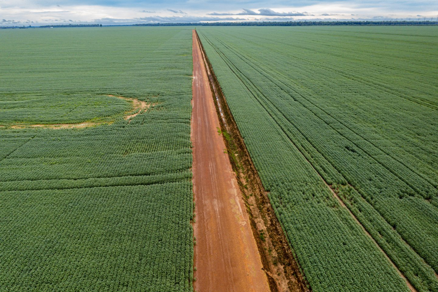Campos de soja gigantes na região de Sinop, no Mato Grosso. O agronegócio responde por mais 20% do PIB nacional. Foto Michael Runkel/ Robert Harking via AFP
