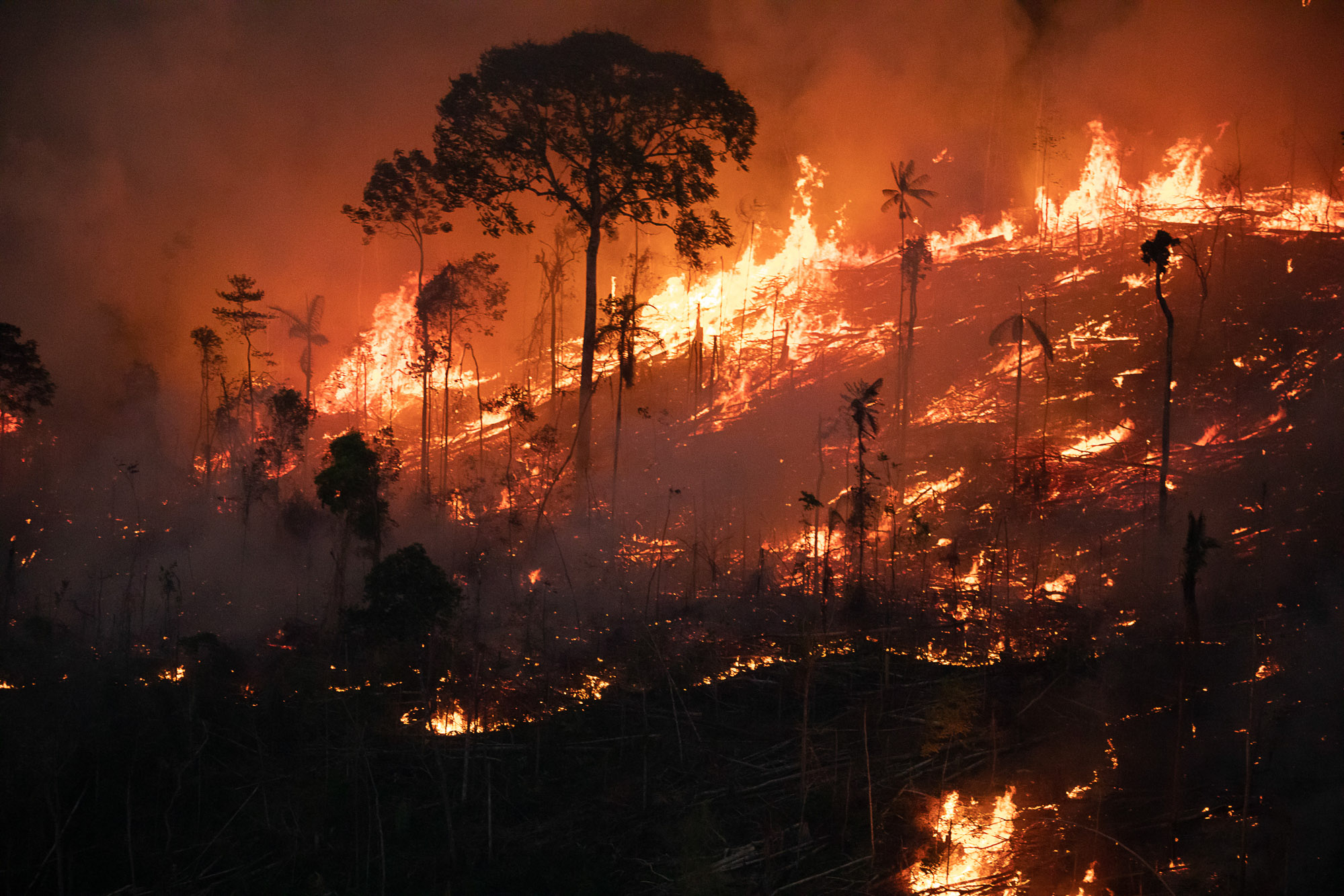 Incêndio florestal na área da Amacro (divisa Amazonas, Acre, Rondônia): multiplicação das queimadas surpreende ativistas (Foto: Nilmar Lage / Greenpeace)