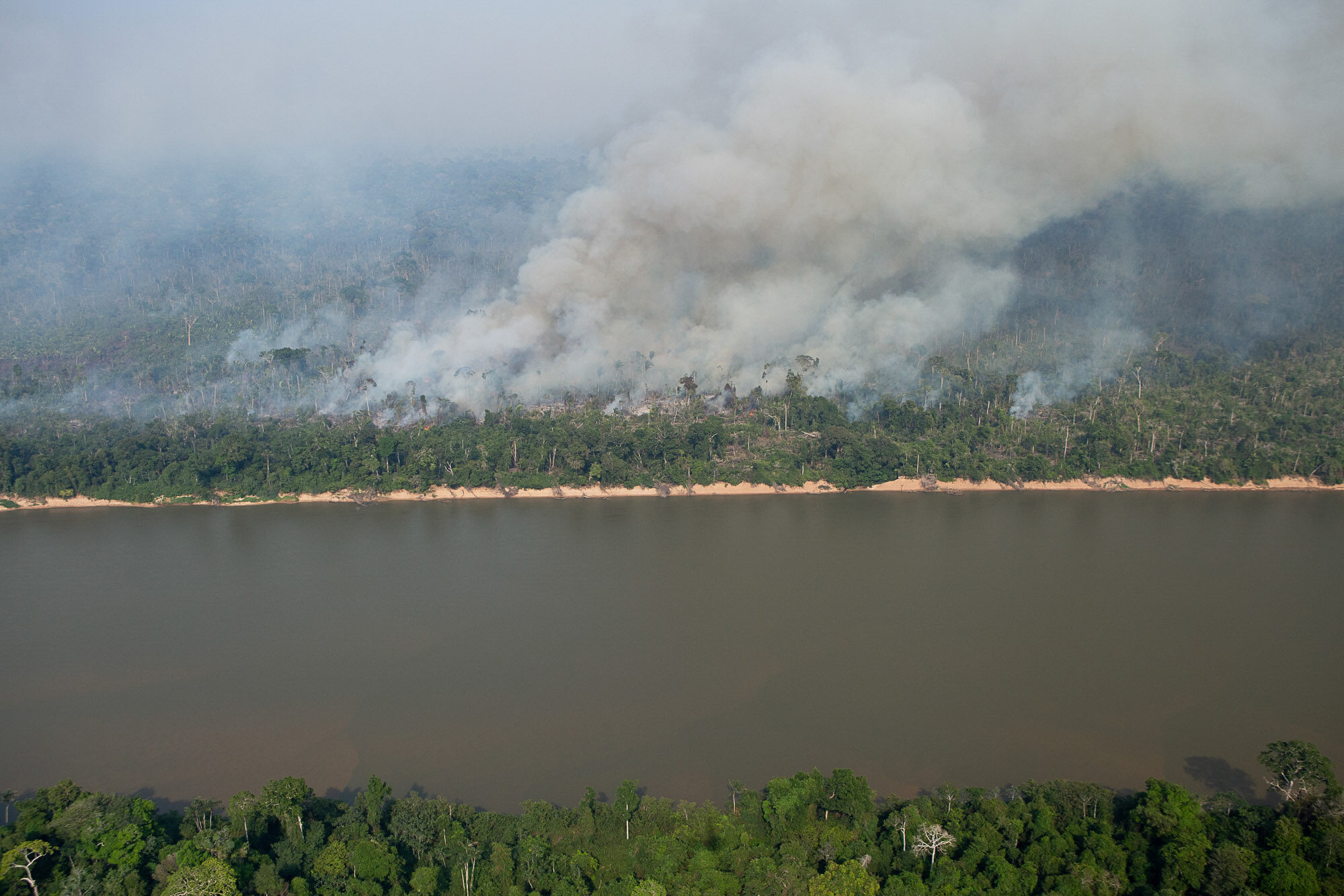 Queimadas e desmatamento ao sul do Amazonas: devastação florestal e violência no governo Bolsonaro (Nilson Lage / Greenpeace)