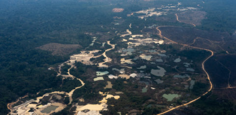 Terra Indígena Munduruku devastada pelo garimpo: proximidade das eleições provoca aceleramento de ações criminosas na Amazônia (Flávia Milhorance/Diálogo Chino)