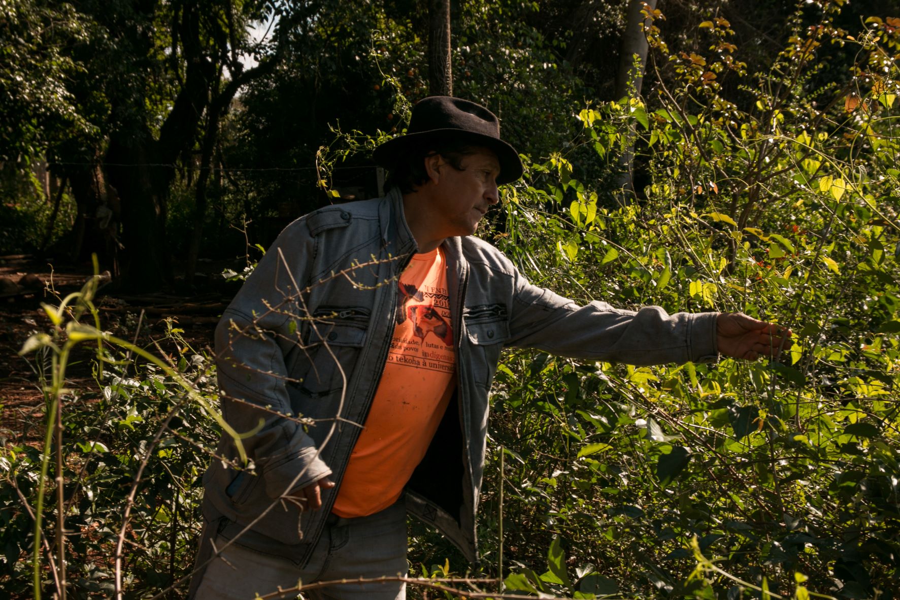 Nelson Ávila em sua plantação: opção pelo cultivo de alimentos orgânicos depois de anos usando agrotóxicos na monocultura (Foto: Siguimar Gonçalves)