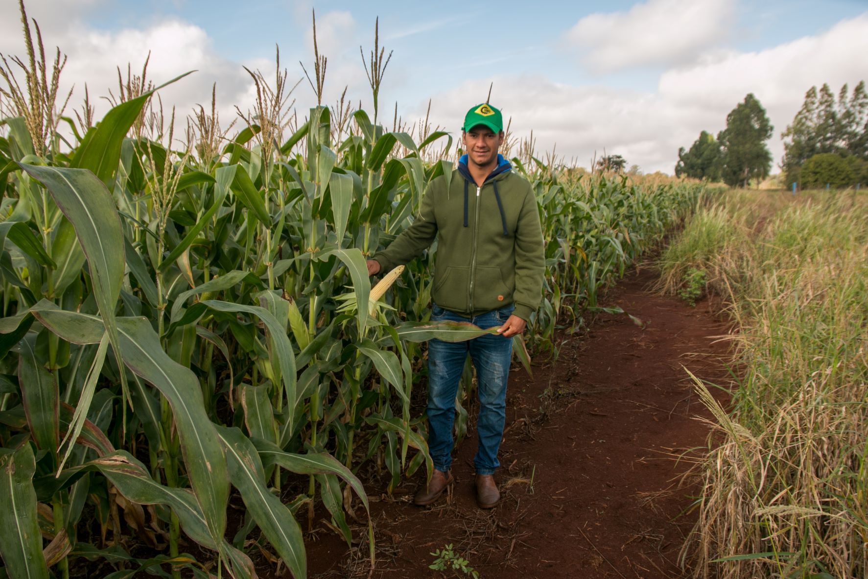 O agricultor terena Sidney Freitas em sua plantação de milho nas Terra Indígena Jaguapiru: defesa do uso dos agrotóxicos (Foto: Siguimar Gonçalves)