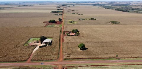 Vista aérea da Terra Indígena Panambizinho (MS) tomada por plantações de milho: presença de agrotóxicos até na água da chuva (Foto: Olácio Komori)