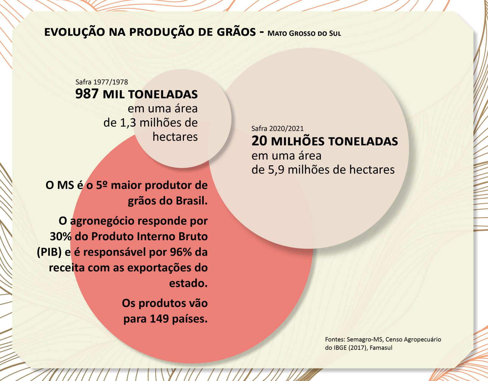 (Infografia: Ana Beatriz Pádua)