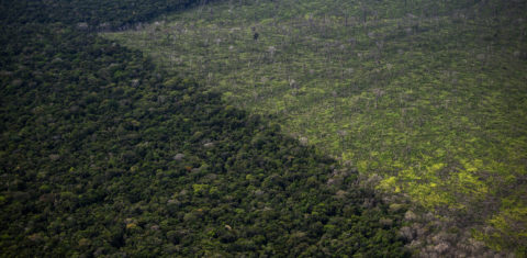 Vista aérea de uma área desmatada da floresta amazônica vista durante um voo entre Manaus e Manicore, no Estado do Amazonas. Segundo o Imazon, entre agosto de 2021 e julho de 2022, foram derrubados 10.781 km² de floresta. Foto Mauro Pimentel/AFP