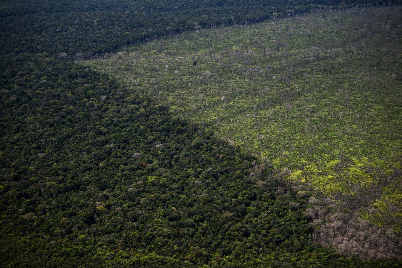 Vista aérea de uma área desmatada da floresta amazônica vista durante um voo entre Manaus e Manicore, no Estado do Amazonas. Segundo o Imazon, entre agosto de 2021 e julho de 2022, foram derrubados 10.781 km² de floresta. Foto Mauro Pimentel/AFP