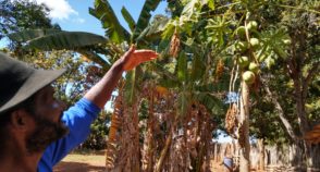 Avanço dos agrotóxicos ameaça permanência de quilombolas cercados por fazendas