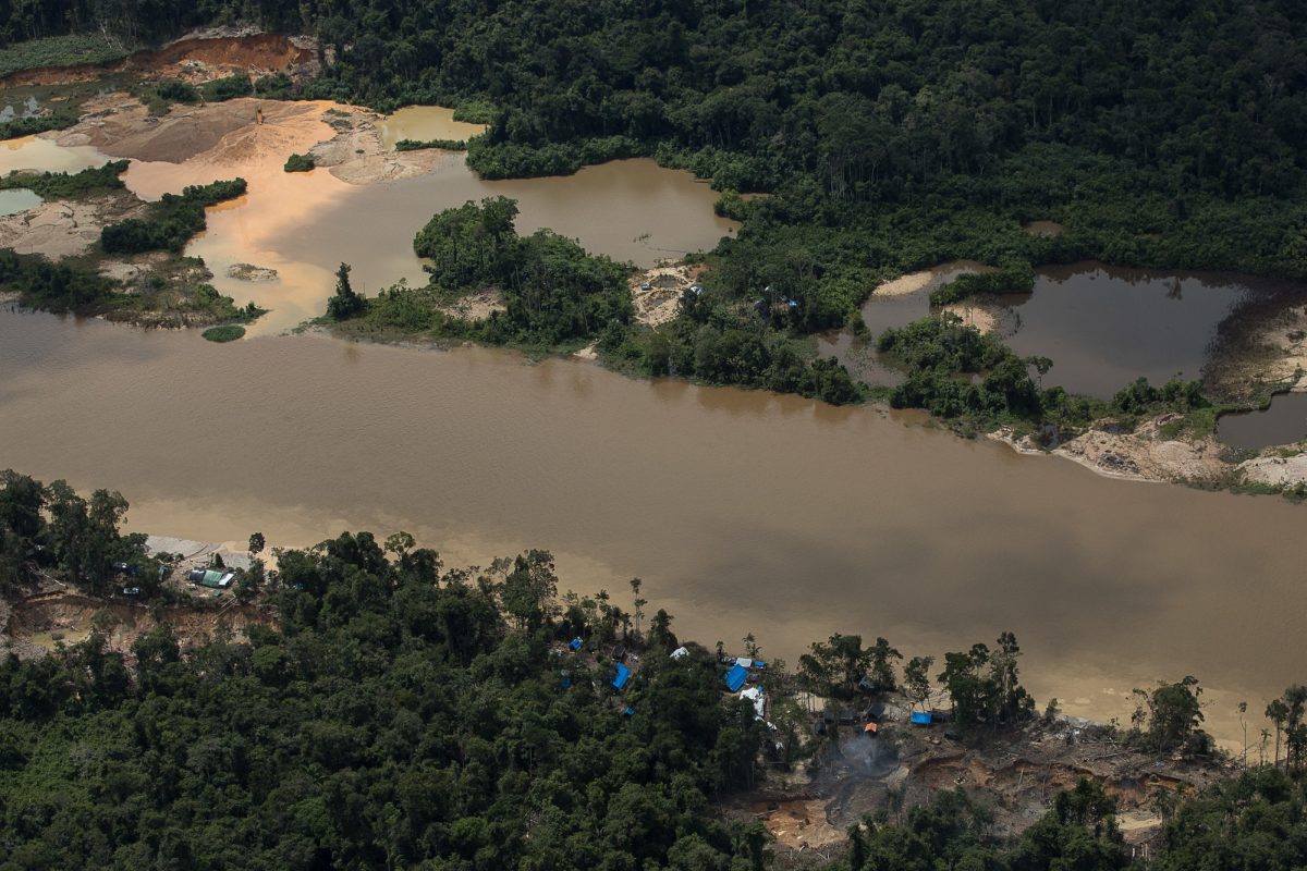 Área de garimpo com dezenas de barracões às margens do Rio Uraricoera na Terra Indígena Yanomami: maior parte do ouro com indícios de ilegalidade vem da extração em áreas protegidas como os territórios indígenas (Foto: Bruno Kelly / Amazônia Real - 05/06/2021)