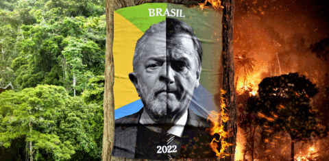Lula e Bolsonaro na ilustração do The New York Times: preservação versus destruição da floresta. Foto/Reprodução do NYT